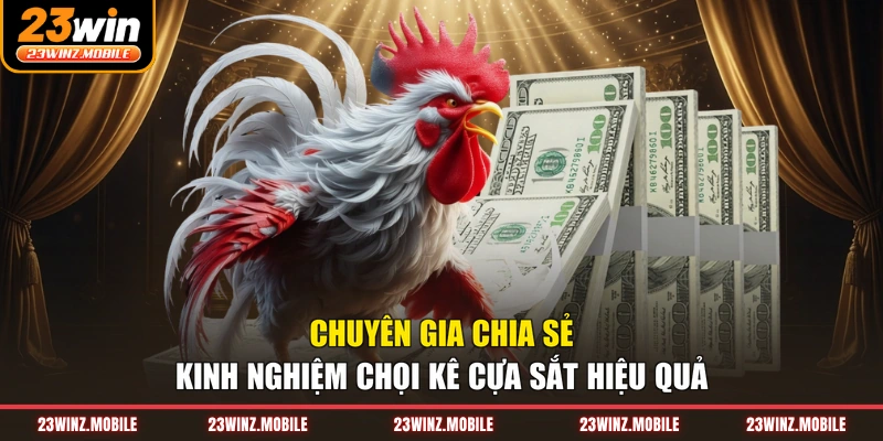 Chuyên gia chia sẻ kinh nghiệm chọi kê cựa sắt hiệu quả