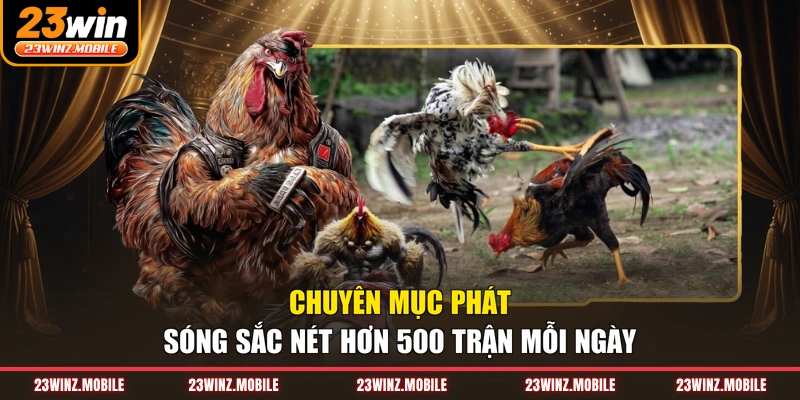 Chuyên mục phát sóng sắc nét hơn 500 trận mỗi ngày
