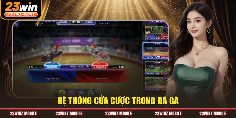 Hệ thống cửa cược trong đá gà