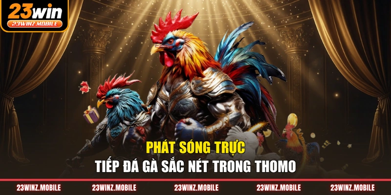 Phát sóng trực tiếp đá gà sắc nét trong Thomo