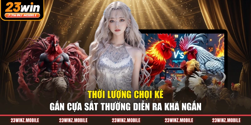 Thời lượng chọi kê gắn cựa sắt thường diễn ra khá ngắn