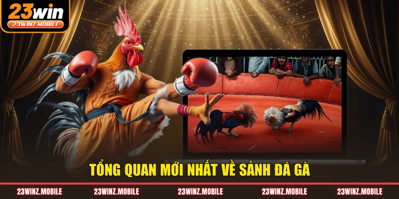 Tổng quan mới nhất về sảnh đá gà
