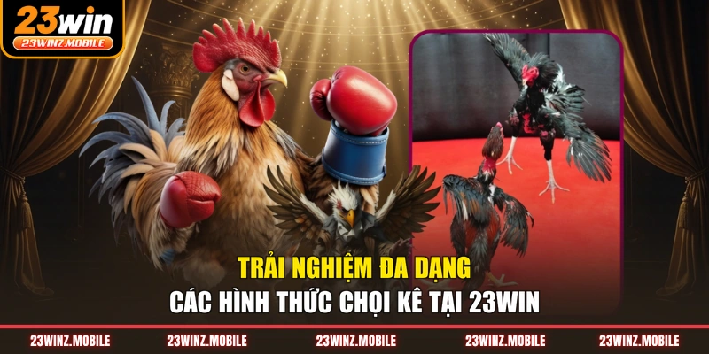 Trải nghiệm đa dạng các hình thức chọi kê tại 23WIN